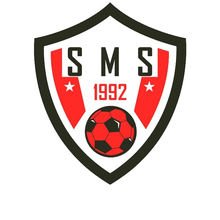 Sağlık Spor Logo